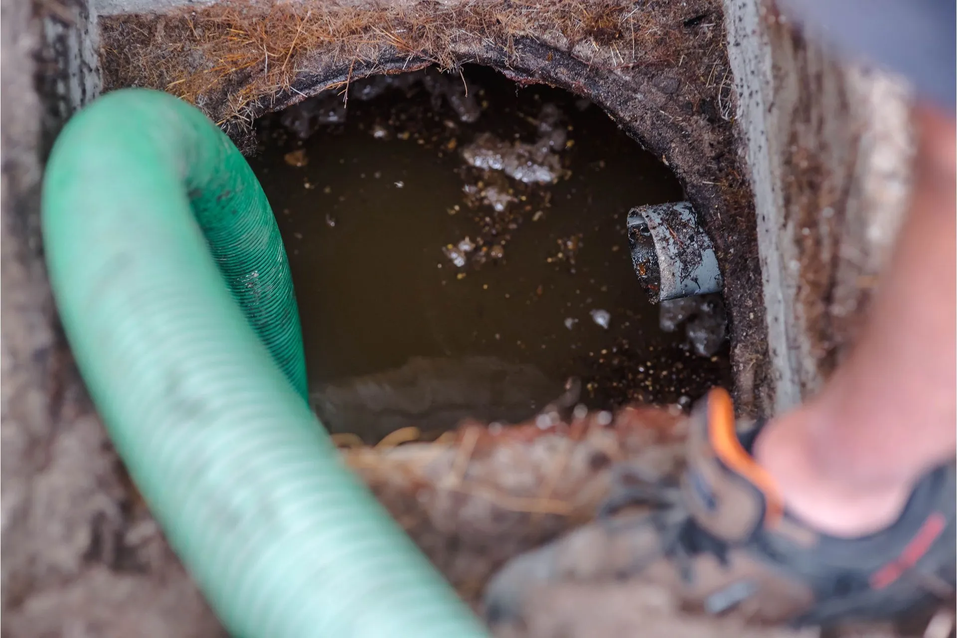 A green suction hose is lowered into an open, liquid-filled septic tank during maintenance. septic tank pumping in Greenville, NC